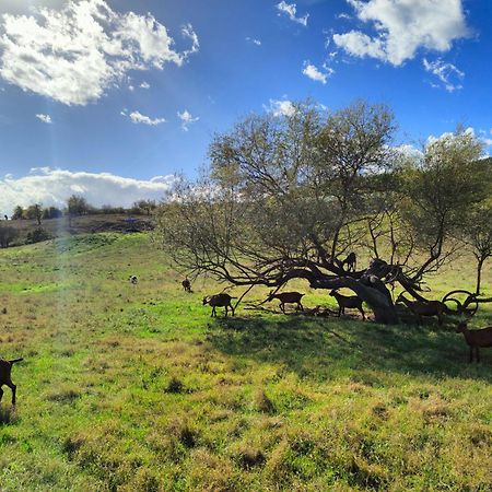 Agriturismo Podere Le Fornaci غريفي ان شنتي المظهر الخارجي الصورة