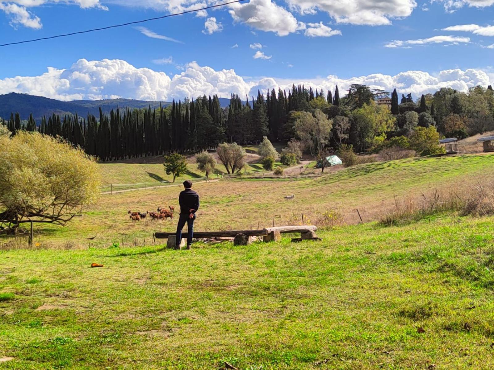 Agriturismo Podere Le Fornaci غريفي ان شنتي المظهر الخارجي الصورة
